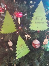 Choinka strojna w czytanie