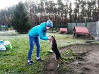 Pomóżmy pieskom przetrwać zimę