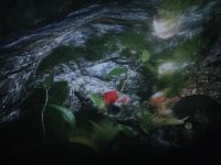 Kino Sferyczne w naszej szkole...