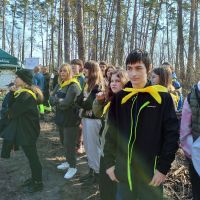 Las ku pamięci Jana Pawła II