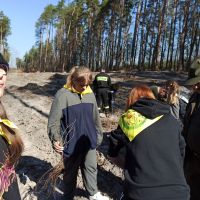 Las ku pamięci Jana Pawła II