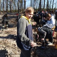 Las ku pamięci Jana Pawła II