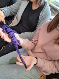 Mobilne Laboratoria Przyszłości