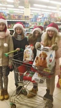 Mikołajki dla czworonogów