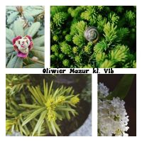 Rozstrzygnięcie konkursu