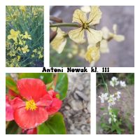 Rozstrzygnięcie konkursu