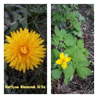 Rozstrzygnięcie konkursu