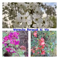 Rozstrzygnięcie konkursu