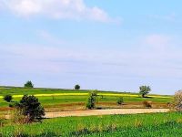 Moja mała Ojczyzna i jej piękno