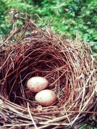 Moja mała Ojczyzna i jej piękno