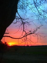 Moja mała Ojczyzna i jej piękno