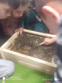 Spotkanie z pszczelarzem