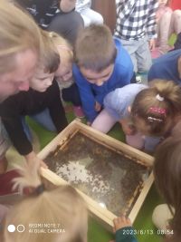 Spotkanie z pszczelarzem