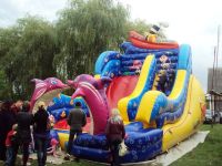 Wykopki, wykopki i po wykopkach...