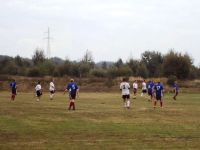 Wykopki, wykopki i po wykopkach...