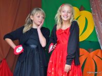 Wykopki, wykopki i po wykopkach...