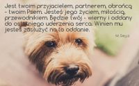 Złotóweczka dla pieseczka