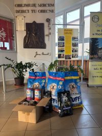 Zbiórka karmy dla zwierząt