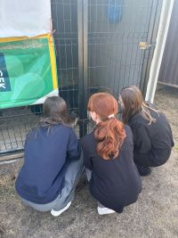 Zbiórka karmy dla zwierząt